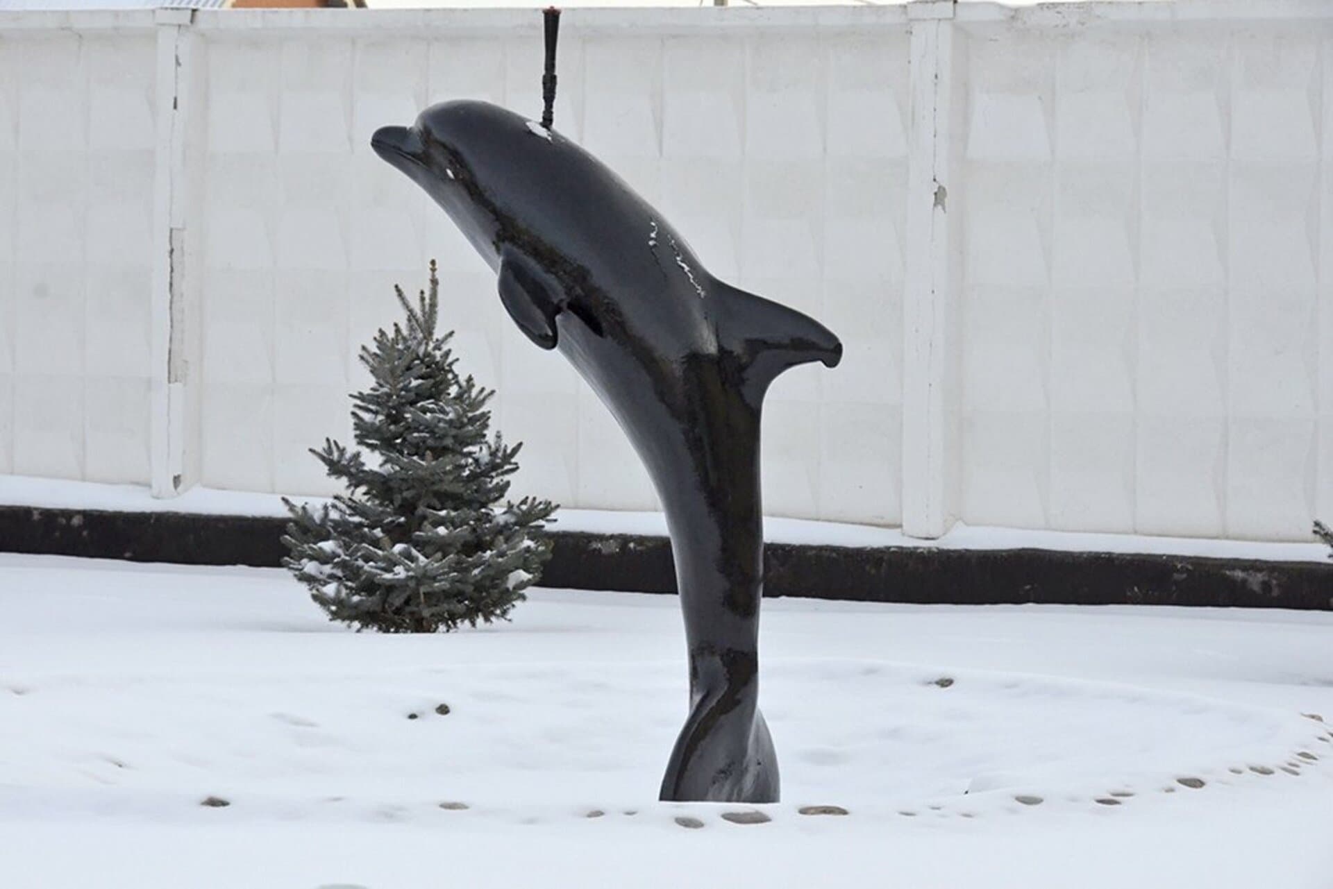 Black Dolphin Prison: Inside Russia’s Harshest Maximum-Security Colony